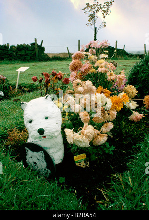 Cimetière pour animaux yorkshire au revoir cher ami Banque D'Images