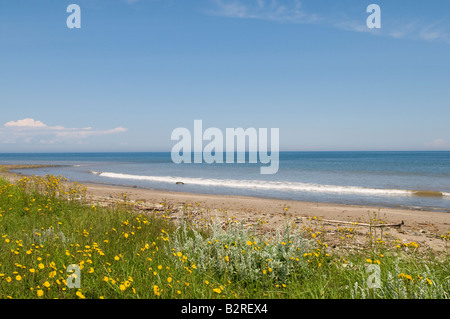 Plage à marée basse sur l'Île Miscou Nouveau-brunswick Banque D'Images