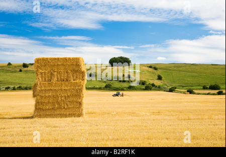 Scène typique du paysage du Wiltshire en été avec haybale, tracteur et Hackpen Cheval blanc figure à la craie, England, UK Banque D'Images