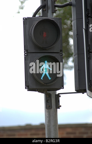 Un homme vert lumière montrant sur un pélican crossing. Banque D'Images