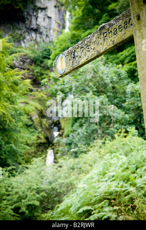 Sentier de bois couverte de mousse à signpost Pistyll Rhaeadr cascade la plus haute d'Galles Galles Powys Llanrhaeadr ym Mochnant UK Banque D'Images