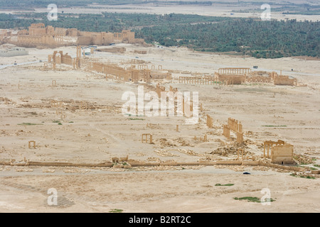 Vue paysage de ruines romaines de Palmyre en Syrie Banque D'Images
