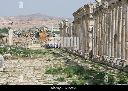 Ruines romaines à Apamée de Syrie Banque D'Images