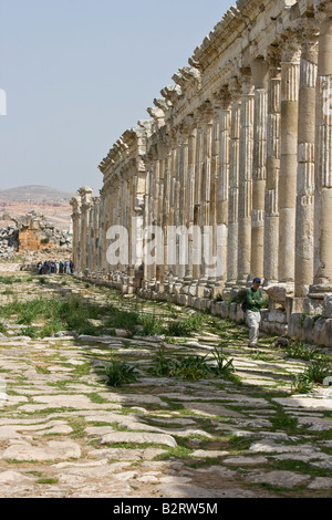 Ruines romaines à Apamée de Syrie Banque D'Images