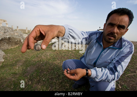 Man Selling Fake Ancient Roman Coins at the Roman Runis d'Apamée de Syrie Banque D'Images