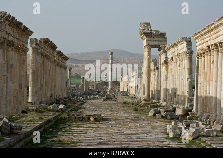 Colonne honorifique à colonnade et les ruines romaines d'Apamée de Syrie Banque D'Images