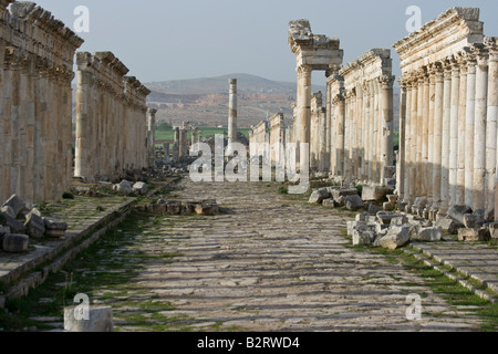 Colonne honorifique à colonnade et les ruines romaines d'Apamée de Syrie Banque D'Images