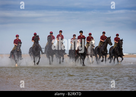 Cavalerie domestique à Holkham Beach Norfolk Royaume-Uni Banque D'Images