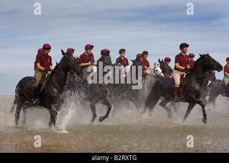 Cavalerie domestique à Holkham Beach Norfolk Royaume-Uni Banque D'Images