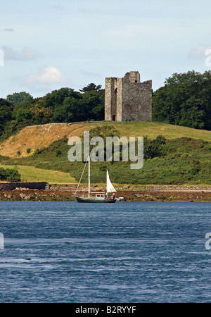 Audley Château Strangford Lough en Irlande du Nord Banque D'Images