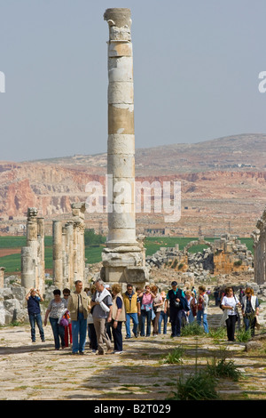 Colonne monumentale, groupe en voyage organisé vestiges romains à Apamée de Syrie Banque D'Images