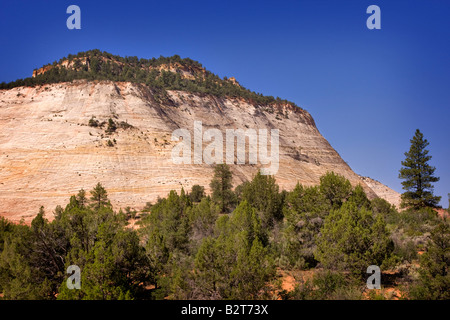 Mesa en damier, Zion National Park, Utah Banque D'Images