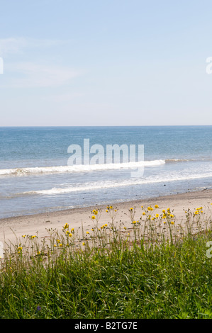 Plage à marée basse sur l'Île Miscou Nouveau-brunswick Banque D'Images