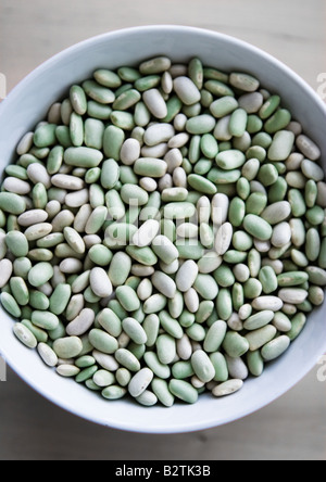 Grean et Blanc Flageolets dans un bol blanc Banque D'Images