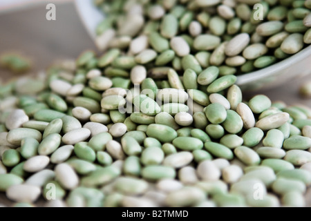 Grean et Blanc Flageolets dans un bol blanc Banque D'Images