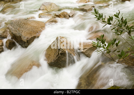 Tenaya Creek le long du sentier du lac Miroir à Yosemite National Park, California, United States of America. Banque D'Images