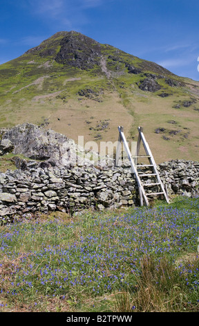 Vue depuis la vallée de Secret Rannerdale Bluebells avec Whiteless Pike Lake District National Park Banque D'Images