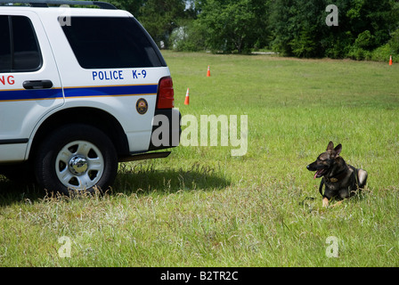 Chien de police K 9 se trouve à côté de son véhicule au cours de la démonstration à la juste Gainesville Florida Banque D'Images