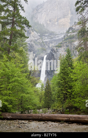 Yosemite Falls inférieur dans le brouillard à Yosemite National Park, Californie, États-Unis d'Amérique. Banque D'Images