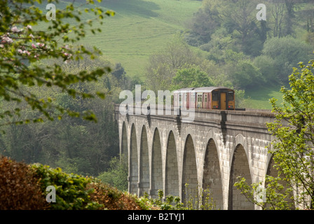 Photos par Sean Dewhurst un train circule sur le viaduc de Calstock sur la ligne de la vallée de Tamar Banque D'Images