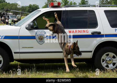 Agent de police K 9 Grady quitte la police cruiser à K 9 à la juste démonstration Gainesville Florida Banque D'Images