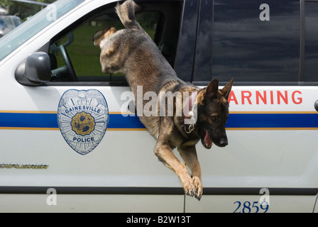 Agent de police K 9 Grady quitte la police cruiser à K 9 à la juste démonstration Gainesville Florida Banque D'Images