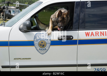 Agent de police K 9 Grady quitte la police cruiser à K 9 démonstration au salon de l'hélicoptère Gainesville Florida Banque D'Images