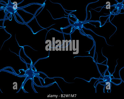 cellules de neurone Banque D'Images