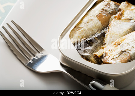 Une boîte de sardines et d'une fourchette Banque D'Images