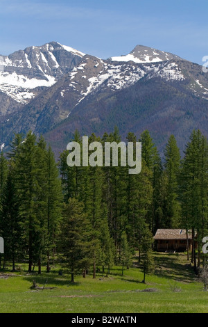 Log Cabin se trouve ci-dessous les Rocheuses près de Montana Condon Banque D'Images