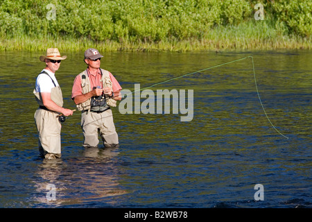 Et guide de pêche à la mouche sur la rivière Lewis dans le Parc National de Yellowston Wyoming Banque D'Images