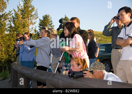 Des foules de touristes d'observer des animaux sauvages dans le Parc National de Yellowstone au Wyoming Banque D'Images