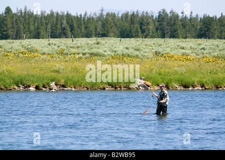 Pêche à la mouche Dernière Chance sur la fourche en Idaho Henry s Banque D'Images