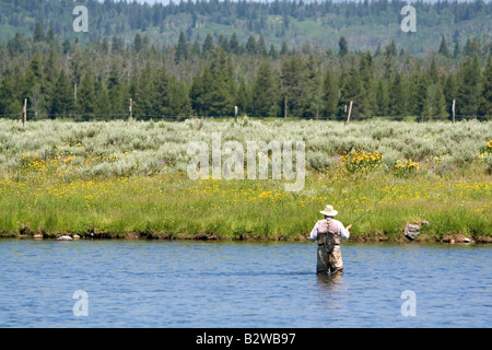 Pêche à la mouche Dernière Chance sur la fourche en Idaho Henry s Banque D'Images