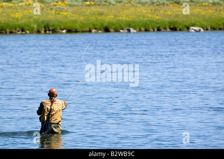 Pêche à la mouche Dernière Chance sur la fourchette d'Henry dans l'Idaho Banque D'Images