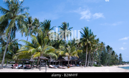 Parasols sur la plage, l'île de Phu Quoc Vietnam Banque D'Images