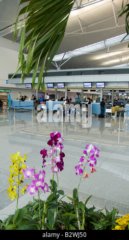 Terminal Passagers moderne l'aéroport Tan Son Nhat à Ho Chi Minh City Vietnam Banque D'Images