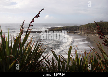 Paysage côtier sur la piste à pied à Punakaiki Truman sur la côte ouest de l'île du Sud, Nouvelle-Zélande Banque D'Images