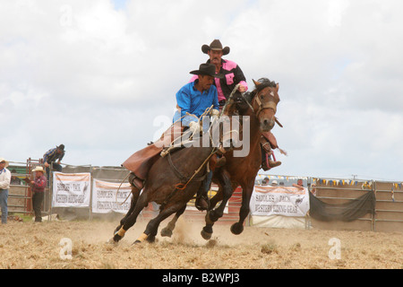 Un cowboy saute sa bronc horse au un rodéo qui a eu lieu à Hamilton, sur l'Île du Nord, Nouvelle-Zélande Banque D'Images