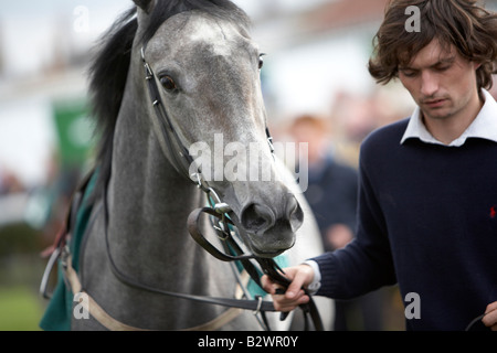 Cheval et gestionnaire DANS L'ANNEAU DE PARADE À YARMOUTH RACE TRACK, Angleterre Banque D'Images