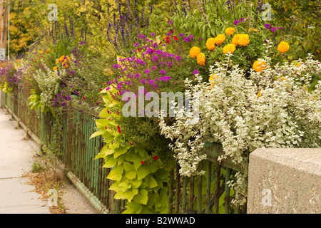 Boîtes à fleurs décorent un pont à Williamstown Massachusetts compliments du Garden club local Banque D'Images