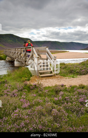 Passerelle en bois sur le domaine Balmoral, Spittal de Glen Muick, Moorland de Lochnagar, Ballater, Aberdeenshire, Parc National de Cairngorms,Écosse royaume-Uni Banque D'Images