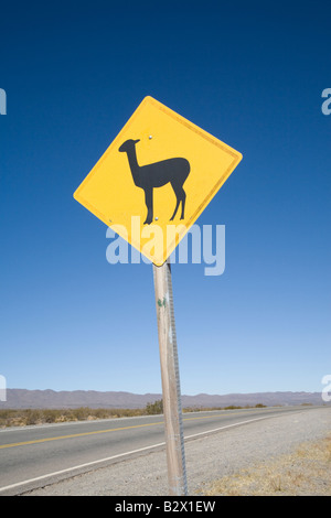 Recta del Tin Tin, signe de Lama, Parque Nacional Los Cardones, Nord de l'Argentine Banque D'Images