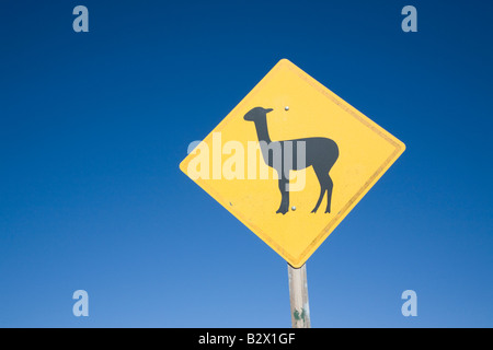 Recta del Tin Tin, signe de Lama, Parque Nacional Los Cardones, Nord de l'Argentine Banque D'Images