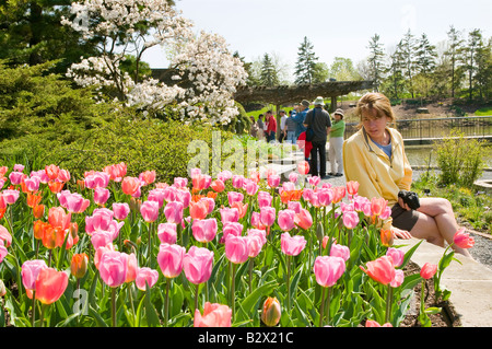 Girl enjoying tulip garden Banque D'Images