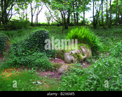Lost Gardens of Heligan, Green Head, jardin, herbe pour cheveux, visage couvert de mousse, Sous les arbres, Mevagissey, Cornwall, style Gardenesque, style design Banque D'Images