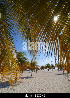 Cayo Largo del Sur, un centre touristique Banque D'Images