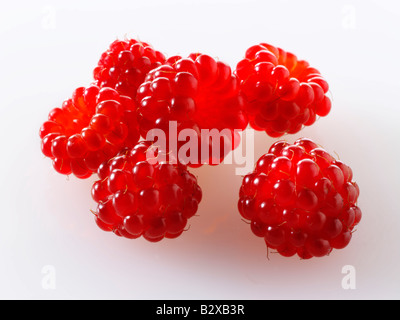 Wineberry (Rubus phoenicolasius) - fruits japonais Banque D'Images