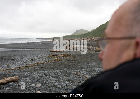 Regarder les touristes sur un ours carcasse de baleine. Banque D'Images