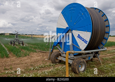 Système d'irrigation arrosage Briggs une récolte d'oignons, Butley, Suffolk, UK. Banque D'Images